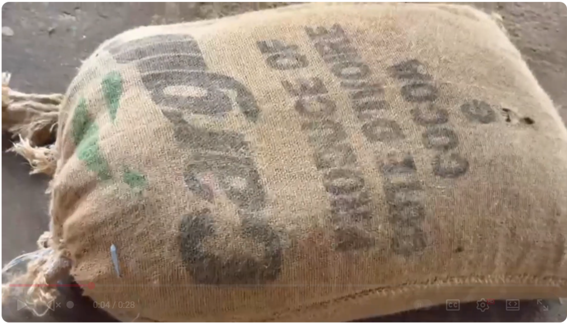 Saisie de plusieurs sacs de cacao dans des conteneurs par des agents des douanes au PAA.