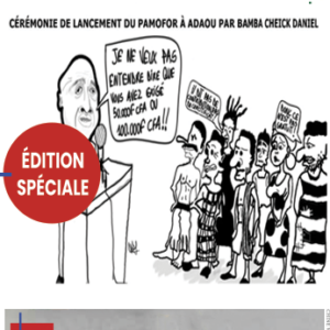 Opération de sécurisation foncière dans le Sud-Est : Les laissés-pour-compte du Pamofor (1ère partie) - Enquête Exclusive