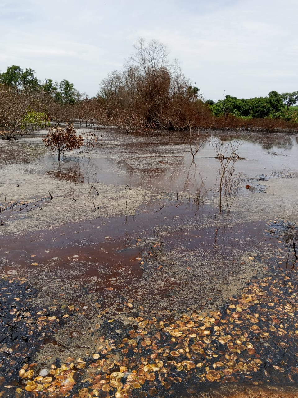 Service après-vente :