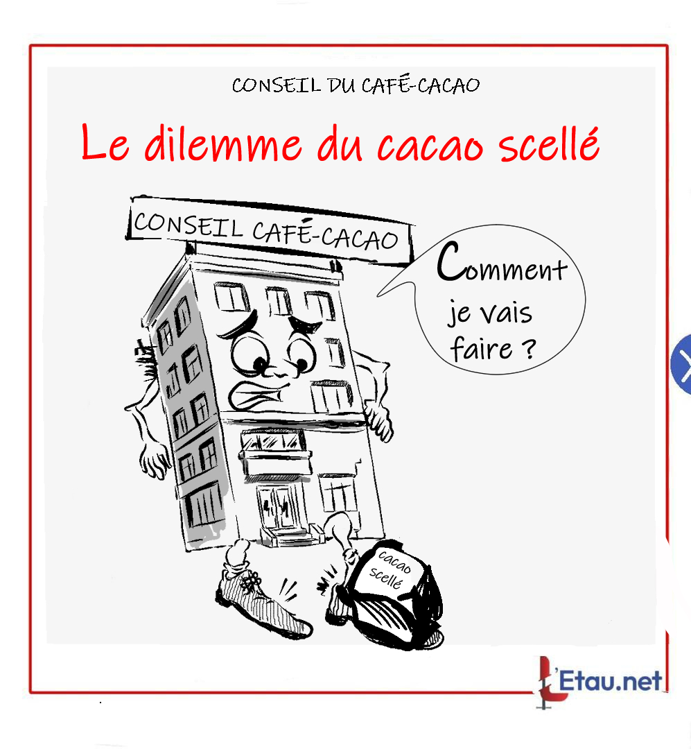 Fin de l’enlèvement du stock résiduel : le cacao scellé, un caillou dans la chaussure du Conseil du café-cacao