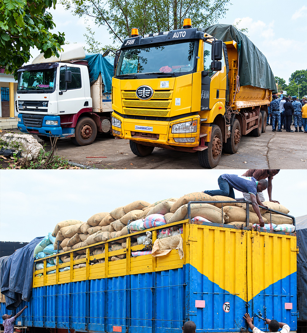 Contrebande du cacao ivoirien vers le Ghana : Amadou Coulibaly s’emmêle les pinceaux