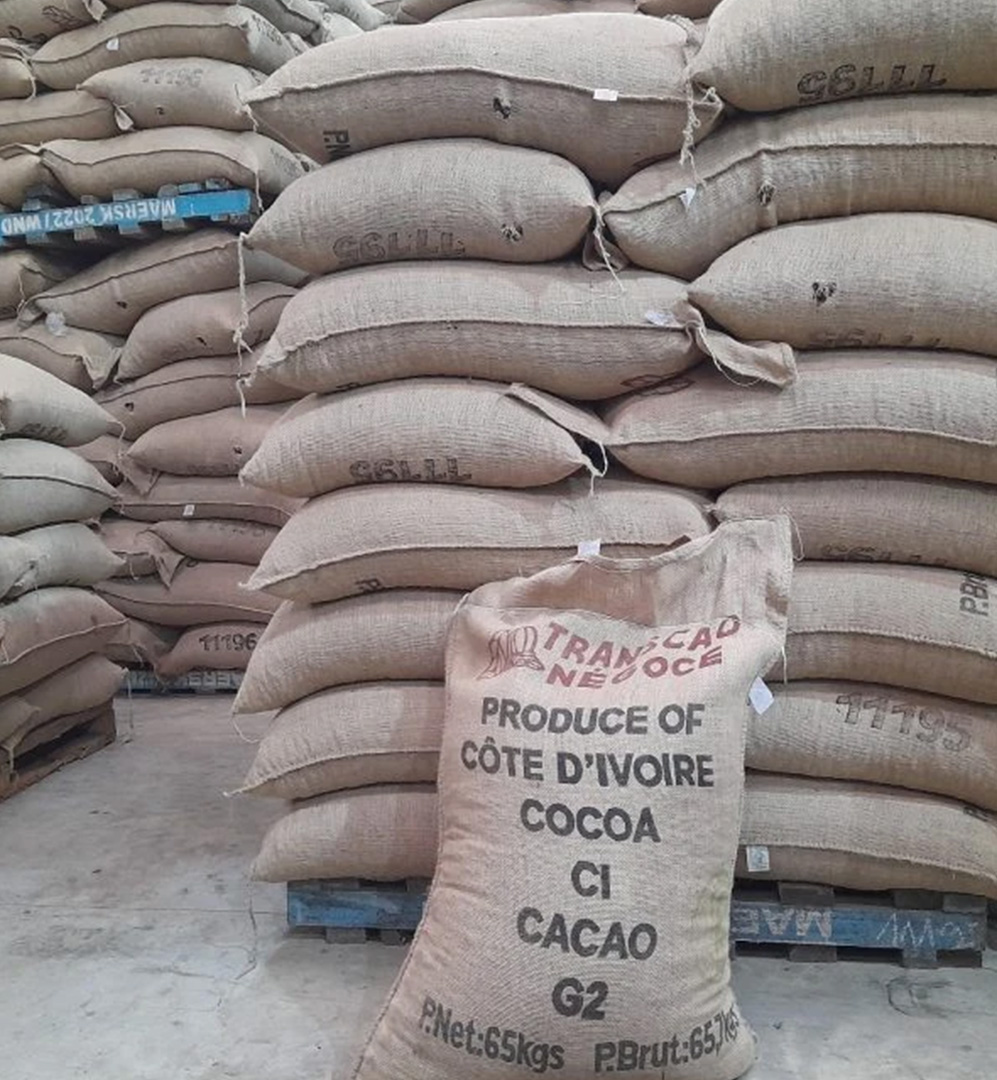 Campagne 2026/2027 – Prix contesté, fronde et contrebande : le Conseil du Café-Cacao confronté à 5 défis majeurs